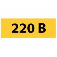 Символ «220 В» 35х 100 мм IEK