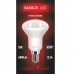 Рефлекторная лампа LED-361 R50 5W 3000K 220V E14 AP