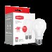 Набор LED ламп MAXUS A65 12W мягкий свет 220V E27 (по 2 шт.) (2-LED-563-P) (NEW)