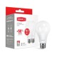 Набір LED ламп MAXUS A65 12W яскраве світло 220V E27 (по 2 шт.) (2-LED-564-P) (NEW)