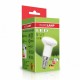 LED Лампа ЕКО серія 'D' R39 5W E14 4000K EUROLAMP LED-R39-05144(D)