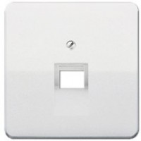Панель розетки TF/PC 1-я JUNG CD569-1UALG світло-сірий