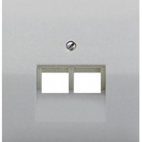 Панель розетки TF/PC 2-я JUNG CD569-2UAGR сірий