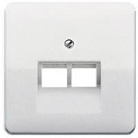 Панель розетки TF/PC 2-я JUNG CD569-2UALG світло-сірий