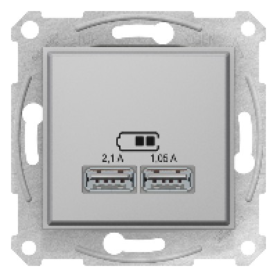 Розетка 2-я с USB выходами для зарядки SDN2710260, цвет алюминий