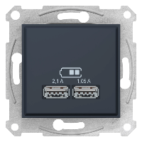 Розетка 2-а з USB виходами для заряджання SDN2710270, колір графіт