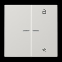 Центральна плата (клавіша) JUNG LS1700LG світло-сірий